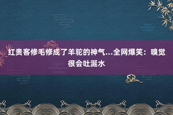 红贵客修毛修成了羊驼的神气...全网爆笑：嗅觉很会吐涎水