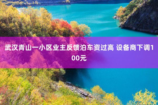 武汉青山一小区业主反馈泊车资过高 设备商下调100元