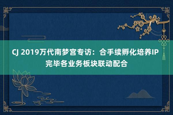 CJ 2019万代南梦宫专访：合手续孵化培养IP  完毕各业务板块联动配合