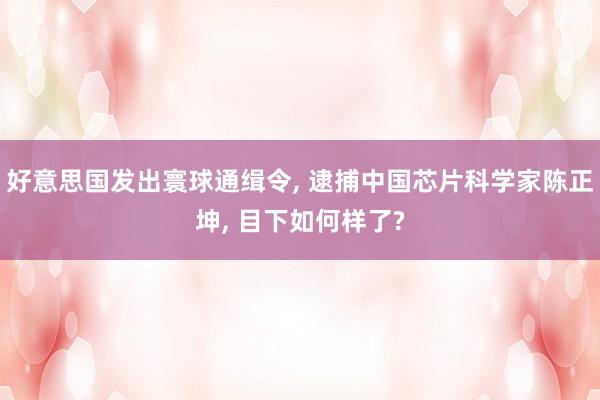 好意思国发出寰球通缉令, 逮捕中国芯片科学家陈正坤, 目下如何样了?