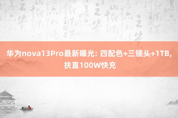 华为nova13Pro最新曝光: 四配色+三镜头+1TB, 扶直100W快充