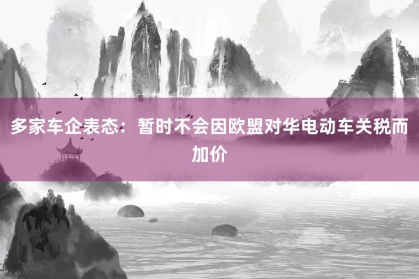 多家车企表态：暂时不会因欧盟对华电动车关税而加价