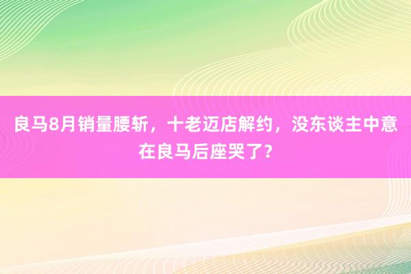 良马8月销量腰斩，十老迈店解约，没东谈主中意在良马后座哭了？