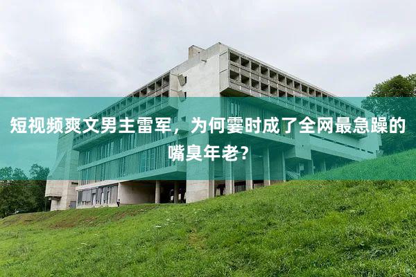 短视频爽文男主雷军，为何霎时成了全网最急躁的嘴臭年老？