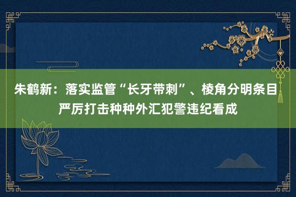 朱鹤新：落实监管“长牙带刺”、棱角分明条目 严厉打击种种外汇犯警违纪看成