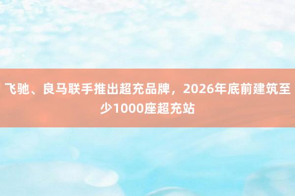 飞驰、良马联手推出超充品牌，2026年底前建筑至少1000座超充站