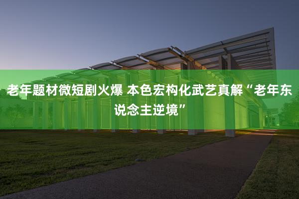 老年题材微短剧火爆 本色宏构化武艺真解“老年东说念主逆境”